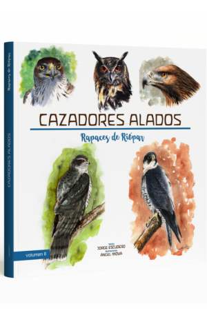 Cazadores alados