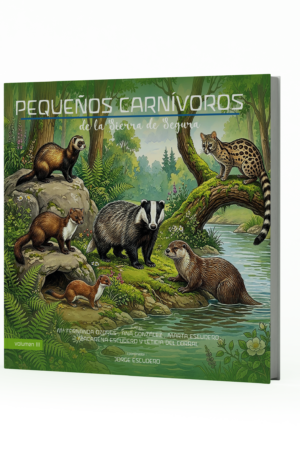 Pequeños carnívoros